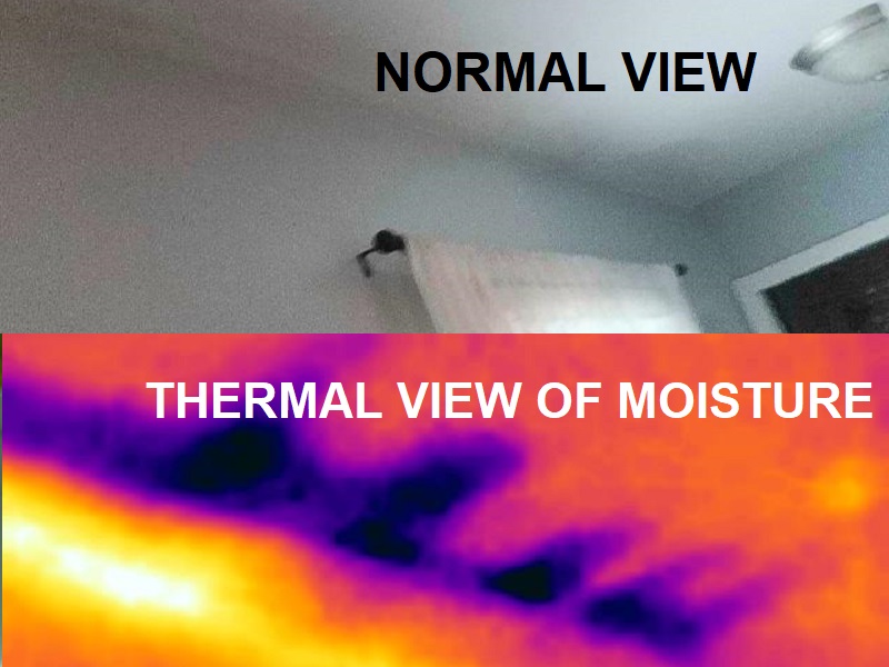 Thermal Imaging